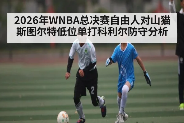 2026年WNBA总决赛自由人对山猫斯图尔特低位单打科利尔防守分析（MK Sports App）